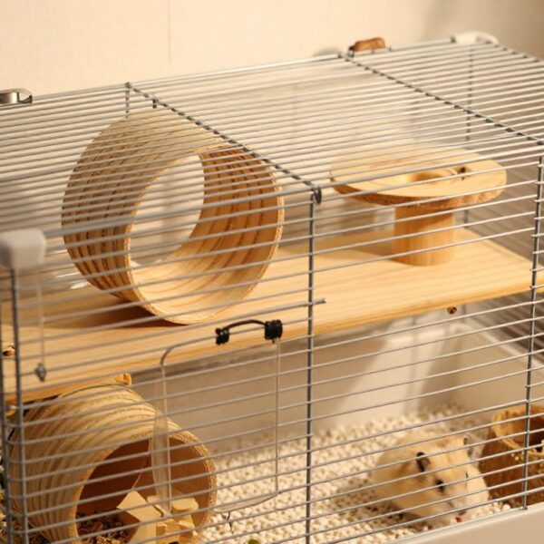 Jaka klatka dla chomika będzie najlepsza: wymiary, wyposażenie i wentylacja